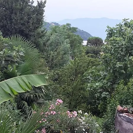 Raineri Domaso