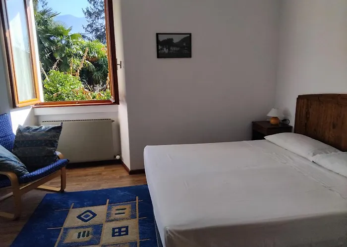 Raineri * דומאסו