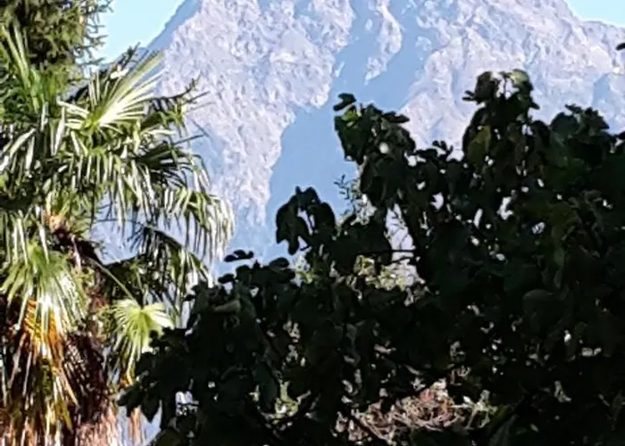 Raineri דומאסו