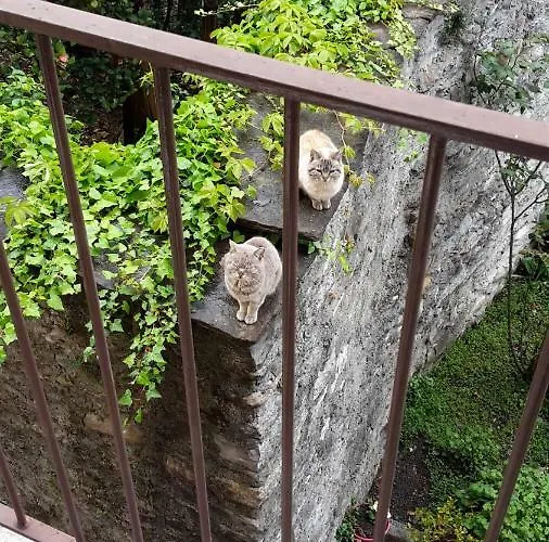 Raineri Appartement Domaso