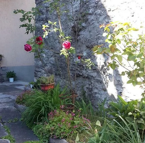 Raineri Appartement *